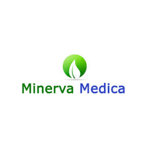 Image of Minerva Medica Sinalgan Integratore Alimentare 20 Buste 971263379